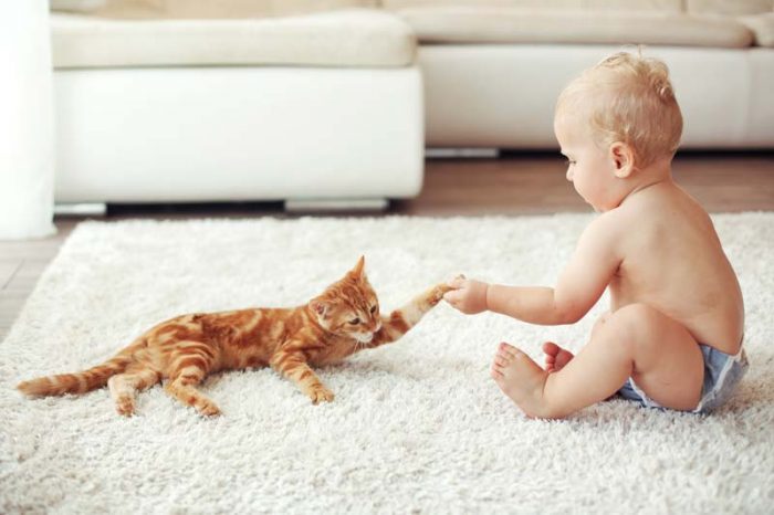baby and cat on carpet